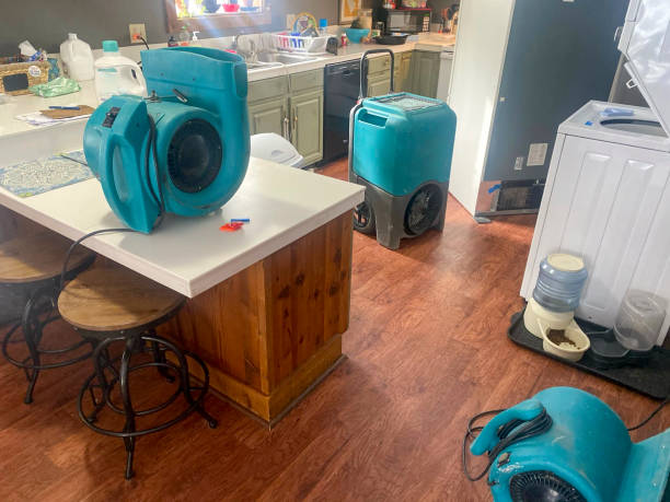 Best Local water damage restoration  in Bowman, ND