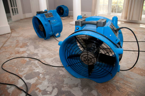 Best Water damage restoration company  in Bowman, ND