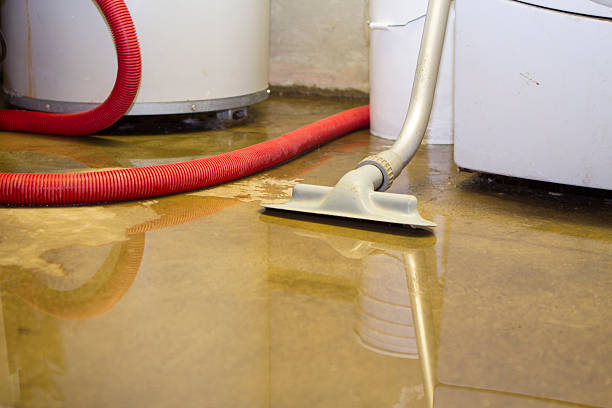 Best Ceiling water damage repair  in Bowman, ND