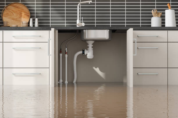 Best Sewage cleanup and water damage restoration  in Bowman, ND