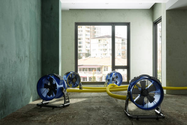 Best Sewage cleanup and water damage restoration  in Bowman, ND