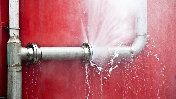 Best Water damage cleanup near me  in Bowman, ND